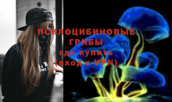 ешки Алексеевка