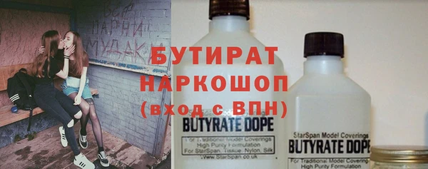 индика Алексин