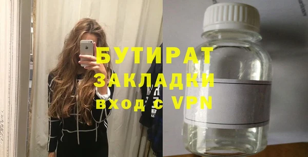 индика Алексин