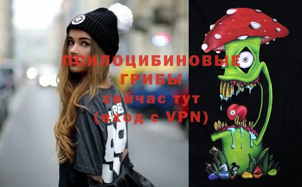ешки Алексеевка