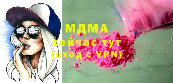 индика Алексин