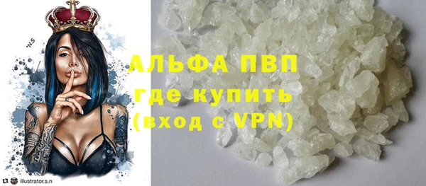 индика Алексин